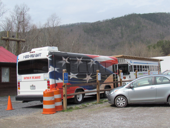 buses