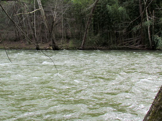 pigeon river