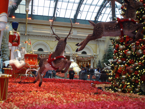 bellagio conservatory