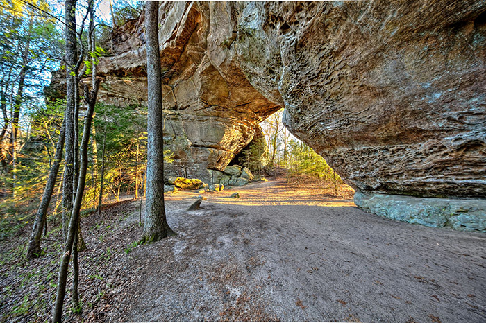 twin arches