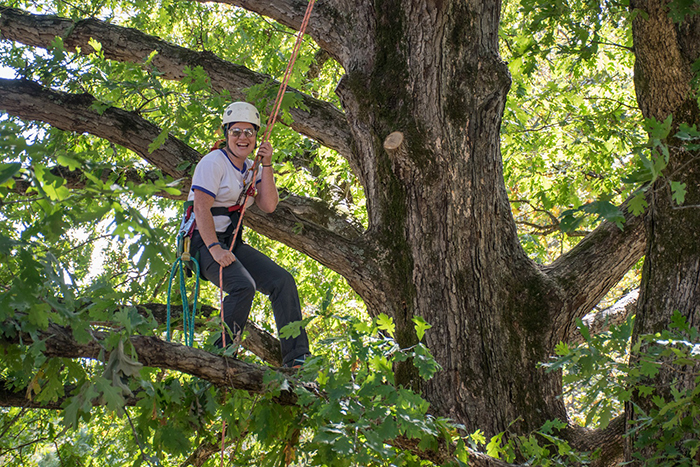 urban forestry