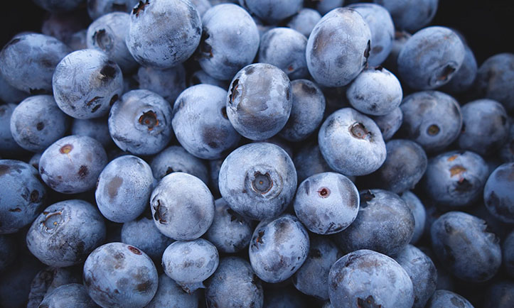 blueberries; UT Fruits of the Backyard Field Day