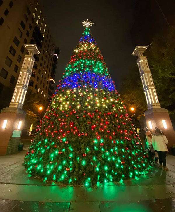 knoxville christmas tree