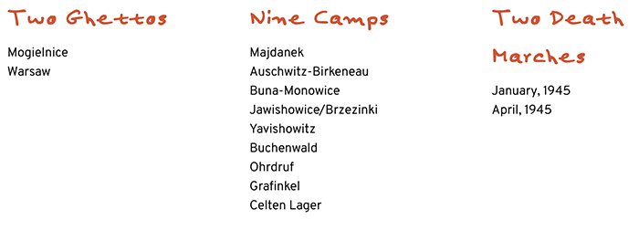 holocaust camps
