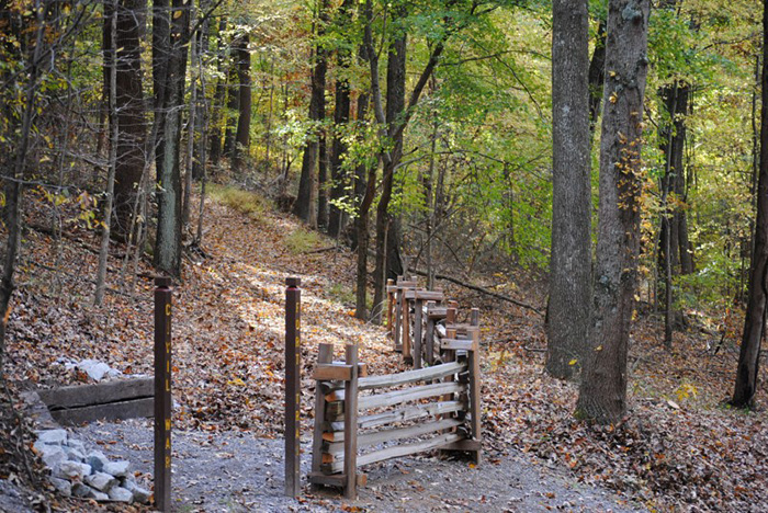 johnsonville state park hiking trail