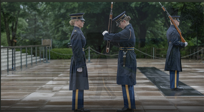 veterans day guard change at tomb of unknown soldier