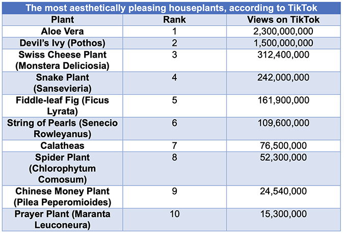 most popular house plants on social media