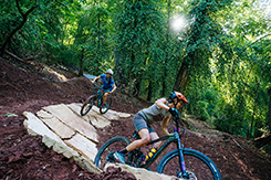 knoxville urban wilderness bike trails