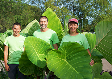 ut gardens plant of the month