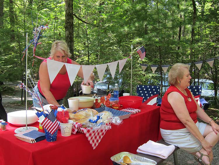 Smoky Mountain picnic