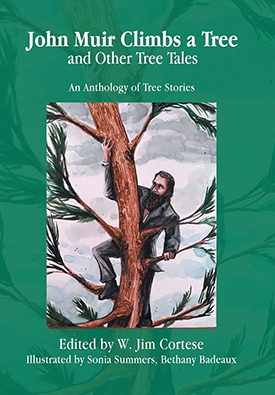 john muir climbs a tree
