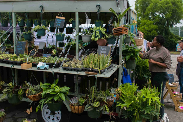 Knox Makers Market