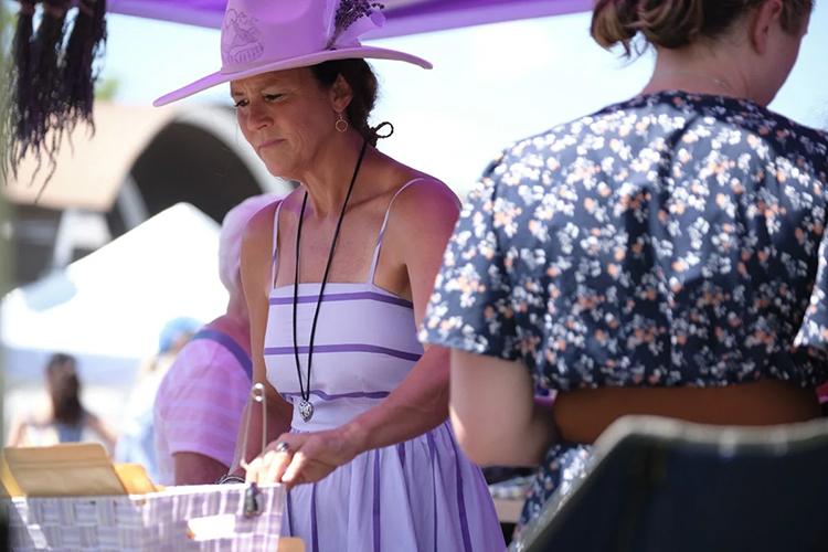 Lavender Festival Oak Ridge