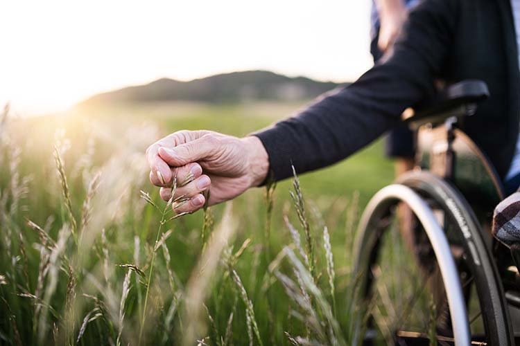 vulnerable adults