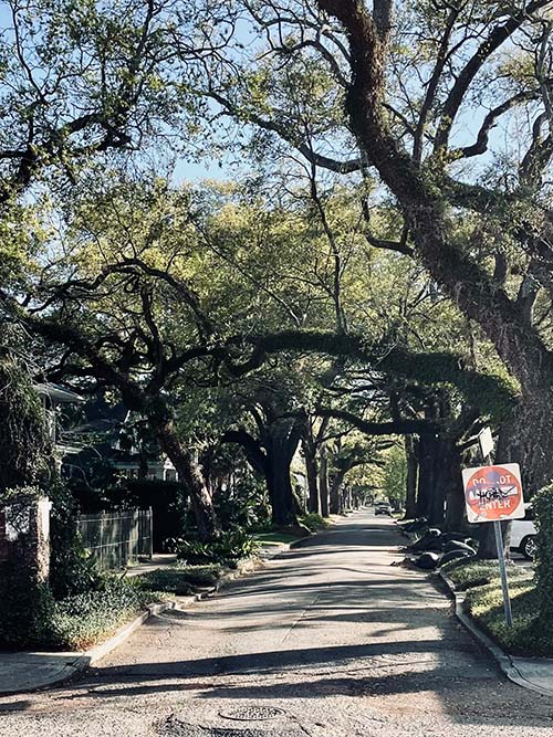 unknown street new orleans