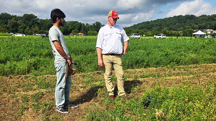UTIA weed contest
