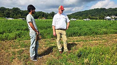 UTIA weed contest