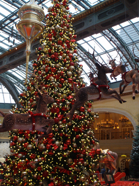 bellagio conservatory