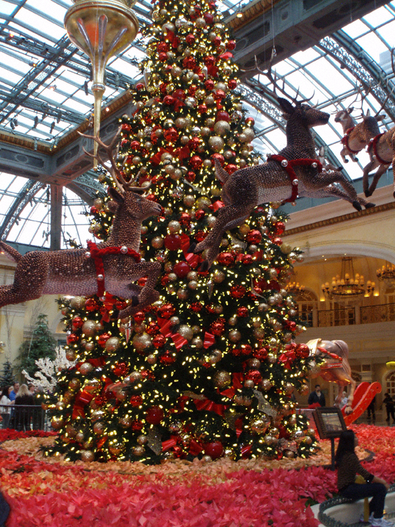 bellagio conservatory