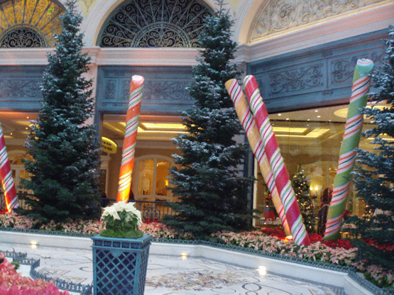 bellagio conservatory