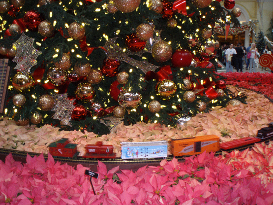 bellagio conservatory