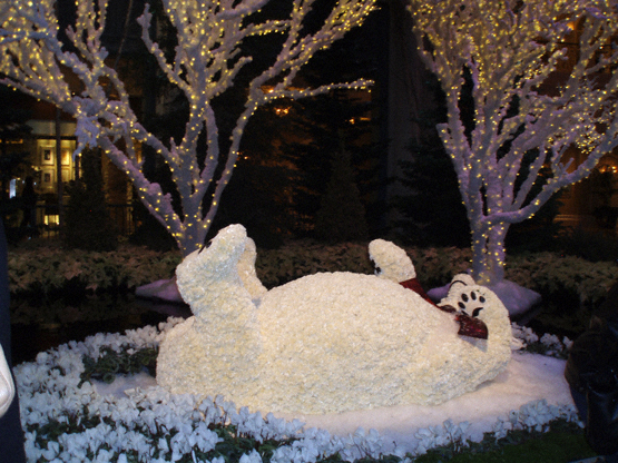 bellagio conservatory