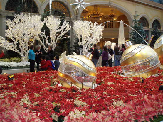 bellagio conservatory
