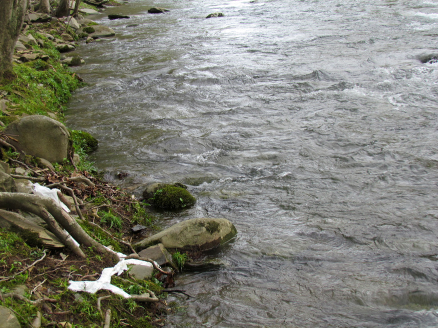 gatlinburg sewer treatment plant accident