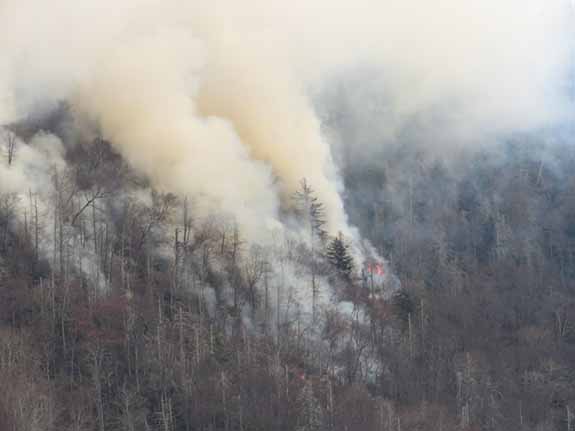 chimney tops fire