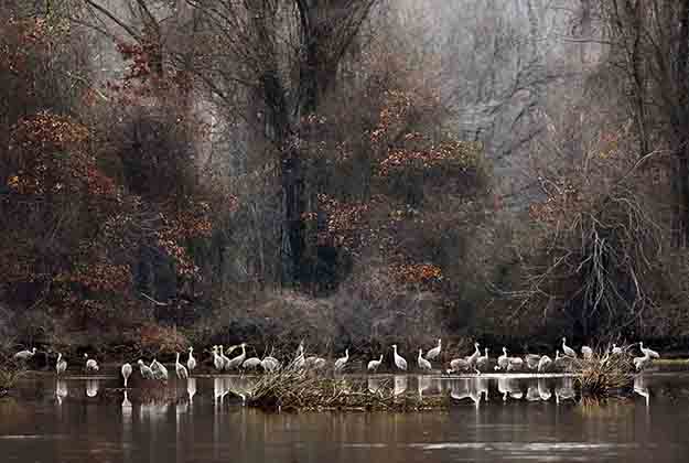 Secretary Zinke announces boost to wetland, waterfowl conservation