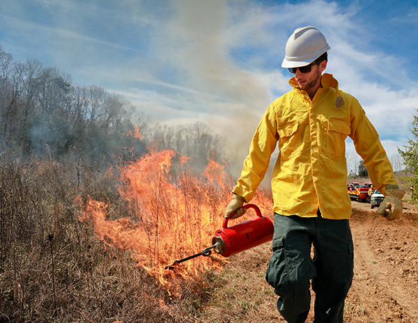Controlled burns scheduled on the DOE Oak Ridge Reservation