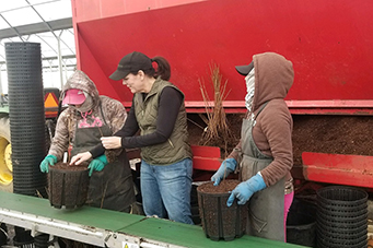 nursery producers