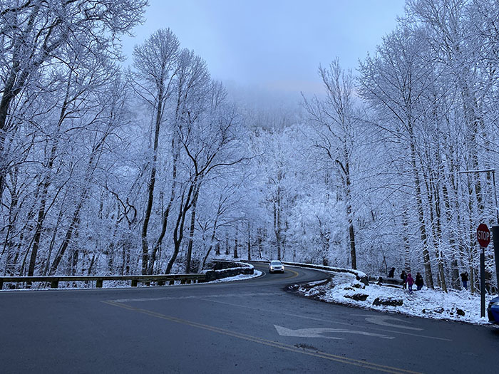 snow in great smoky mountains national park