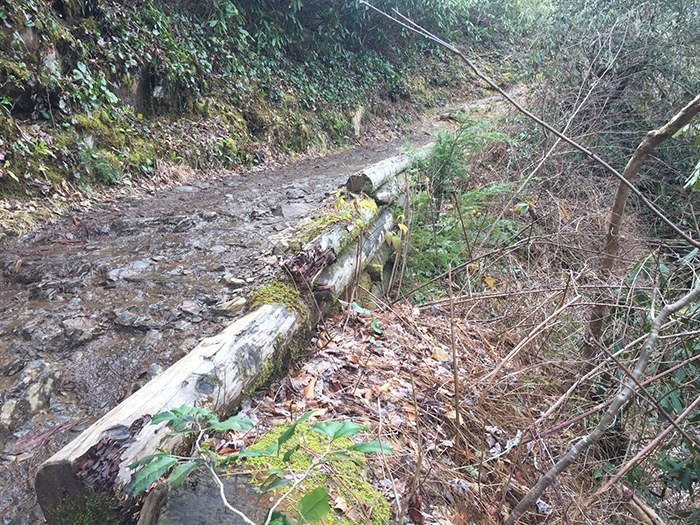 abrams falls trail needs repair