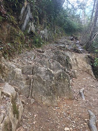abrams falls trail needs tread repair