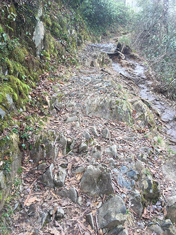 abrams falls trail needs tread repair