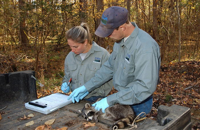 wildlife services rabies biologists