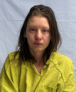 samantha anne hendley homicide charge