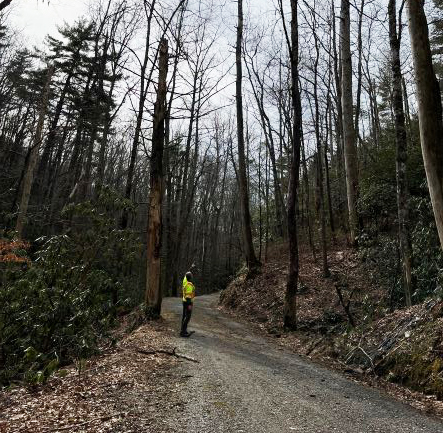 parson branch road