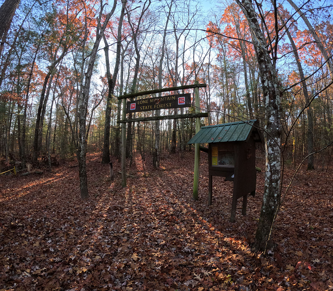 lone mt state forest