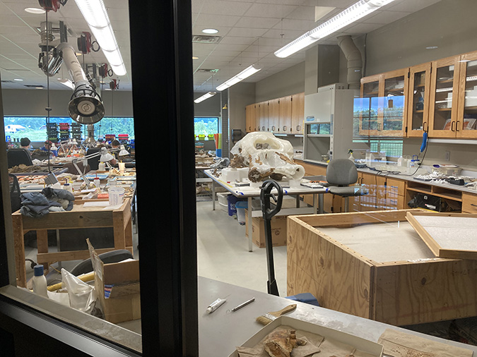 Dinosaur Museum laboratory
