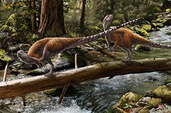 dinosaur fossil europe