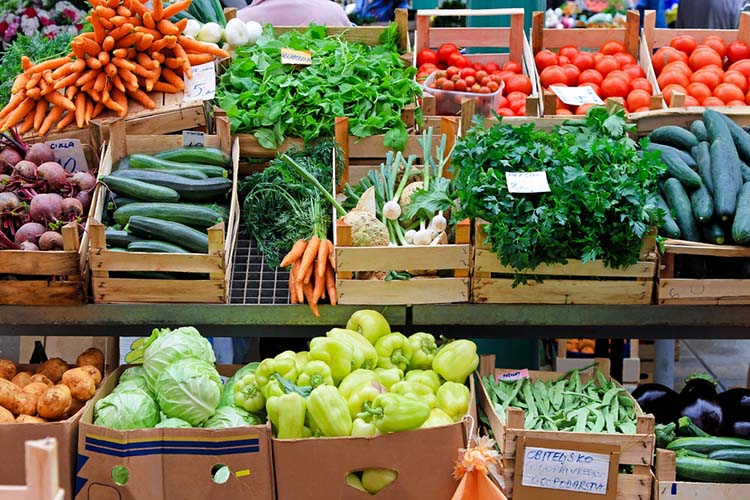 Nourish Knoxville