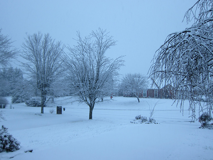 winter storm knoxville