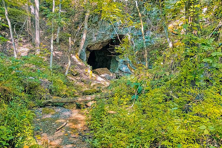 wild cave entrance