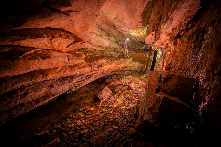 wild cave tour