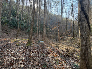 Oliver Tract