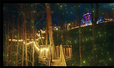 Anakeesta Firefly Show