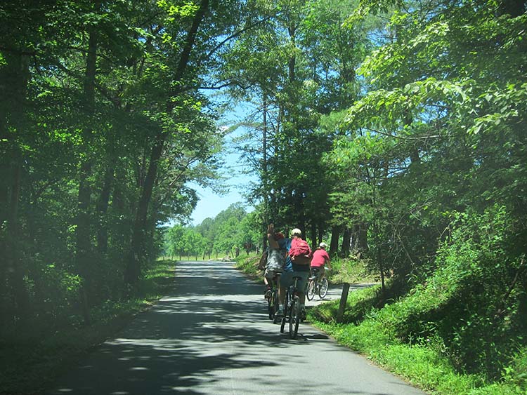 Cades Cove cyclists