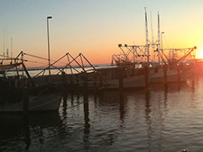 shrimp boats biloxi